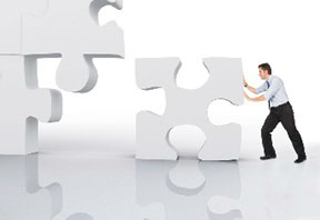 Project Consulting
